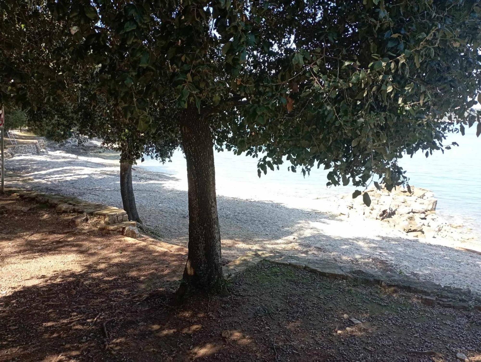 Apartman Angela Rovinj Exterior foto